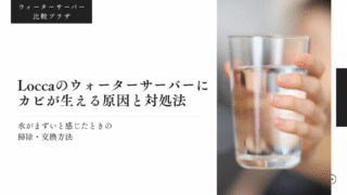 locca,カビ